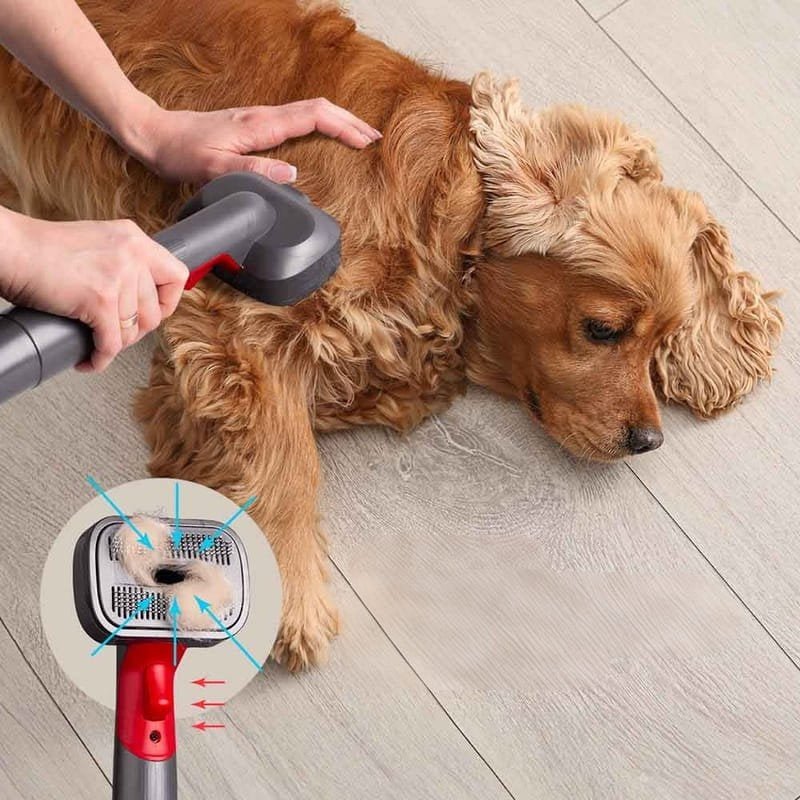 Pet Hair Cleaning