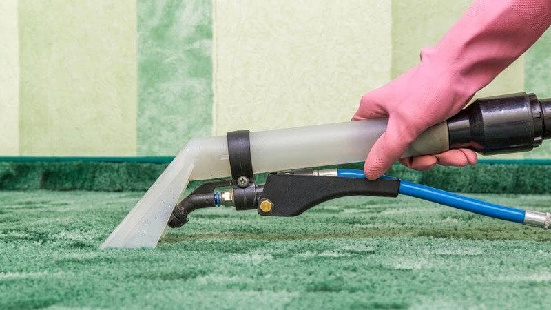Heated Water vs Steam in Carpet Cleaners: What’s the Difference?