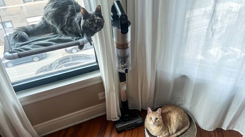 What Makes a Cordless Vacuum Good for Pet Hair?